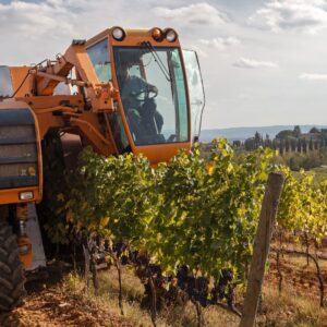 machine for harvesting grapes
