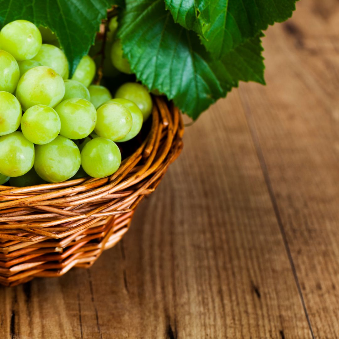 wine grapes background